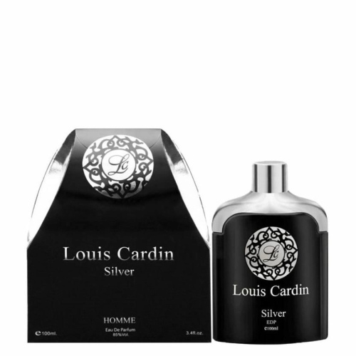 SILVER HOMME
